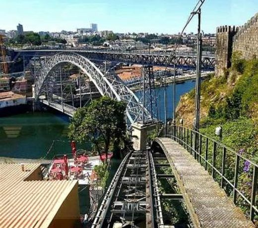 Oporto Wine Cellars