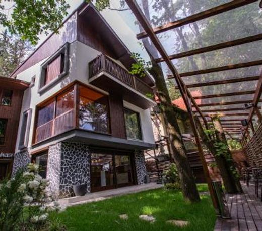 CasaDrago Sinaia , sauna si ciubar cu apa sarata