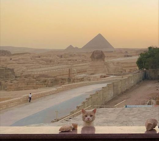 Seven Pyramids Inn