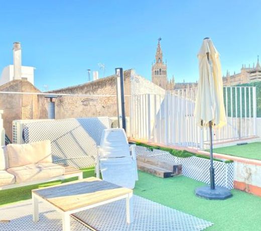 Top-notch downtown house with private rooftop terrace and parking opt