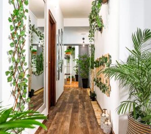 Avenue View Rooms