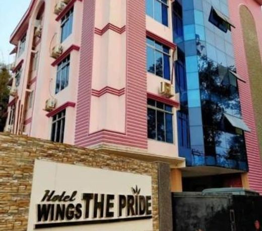 wings THE PRIDE