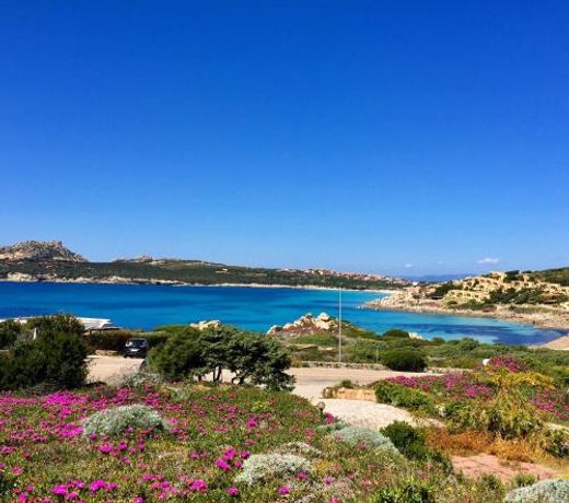 Accogliente appartamento con vista mare