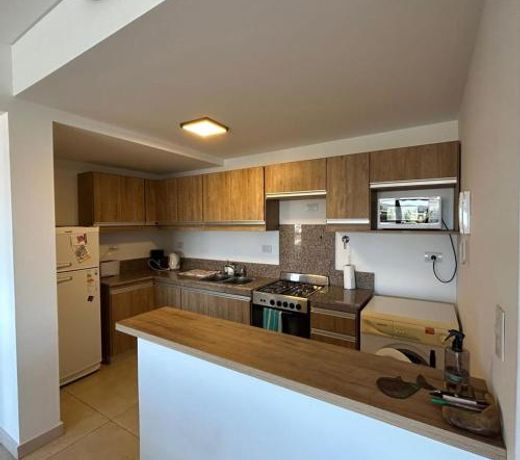 Departamento Zar y Gales