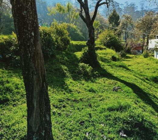 Kodai sakthi guest house