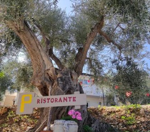 Agriturismo Passione Natura