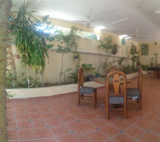 Room in Guest room - Padrinos Hostal La Paz Full House