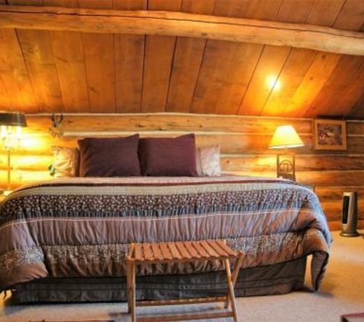 Dog Friendly Ty's Cabin by AAA Red Lodge Rentals