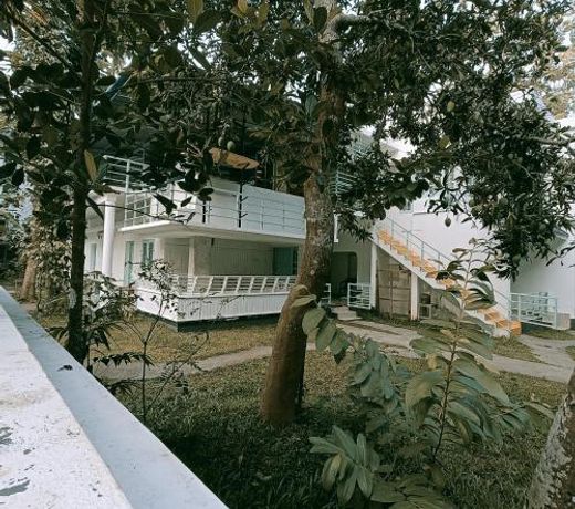 Molly's Hostel