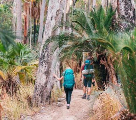 BIG4 Breeze Holiday Parks - Carnarvon Gorge