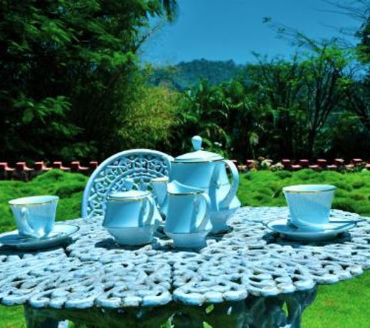 Niraamaya Private Residence Blue Mountain -Chikmagalur