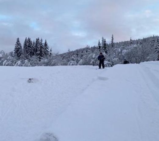 Tuddal Hyttegrend, GAMLESTUGU, Telemark