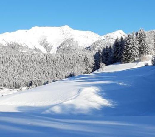Apartment Panorama Val di Non
