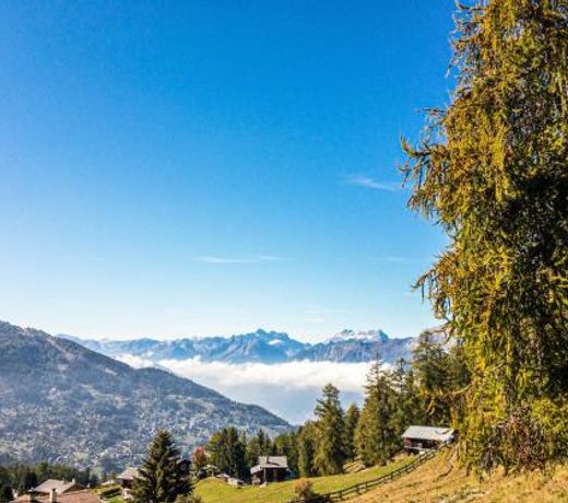 Pracondu RENOVE OUTDOOR & FUN Appartement 8 personnes