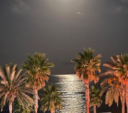 EL CANO