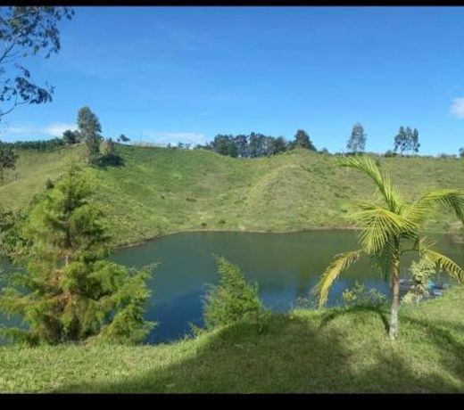 Finca 1 - Dakeva