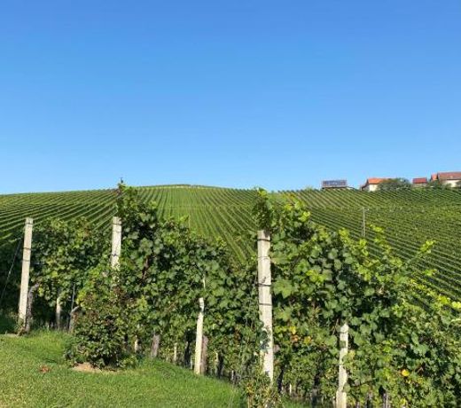 Wein Kultur Apartment Flavia Solva