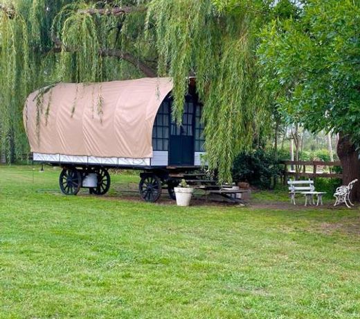 Don Aniceto Lodges & Glamping