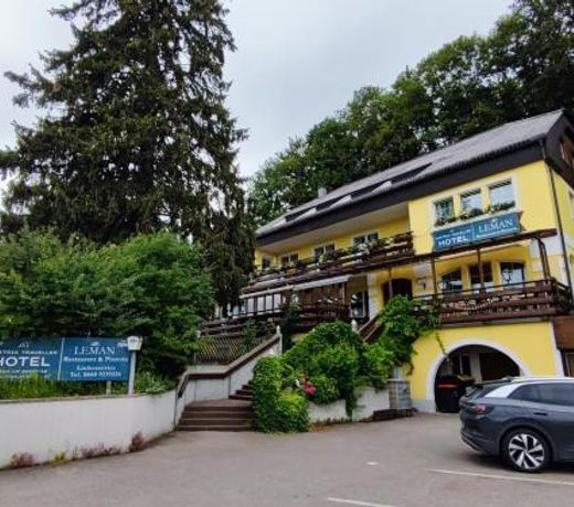 Austria Traveller Hotel Lenzing