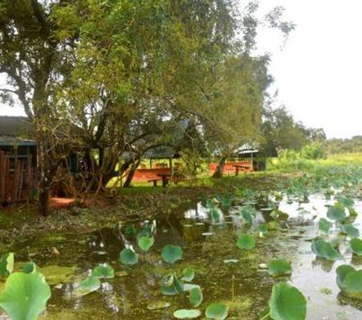 Meegahapokuna Resort