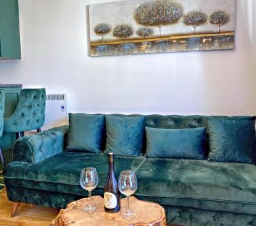 Apartman Istra- Titova vila