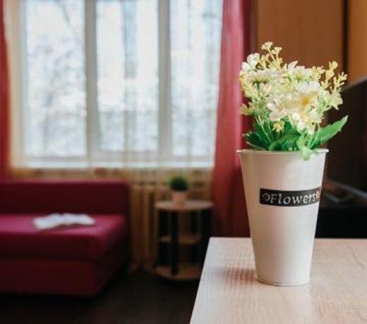 Rose, ÐÐ¿Ð°ÑÑÐ°Ð¼ÐµÐ½ÑÑ Ð² Ð°ÐºÐ°Ð´ÐµÐ¼Ð³Ð¾ÑÐ¾Ð´ÐºÐµ Ð´Ð»Ñ 4Ñ