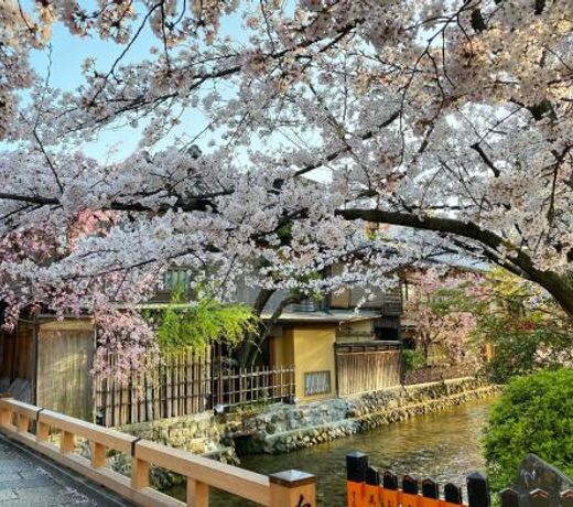 Rinn Gion Shirakawa