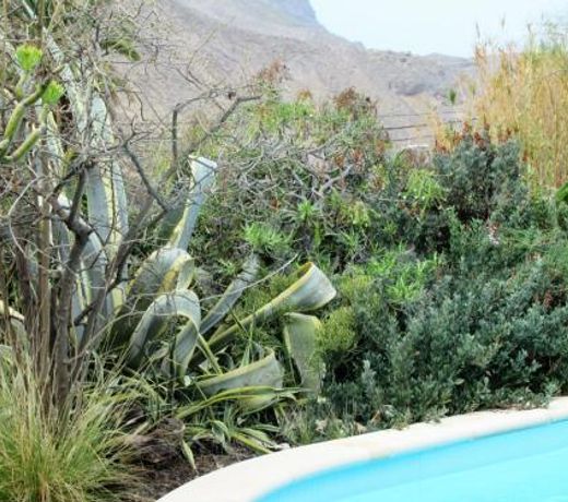 Encantadora Casa con piscina privada en el Risco de Agaete