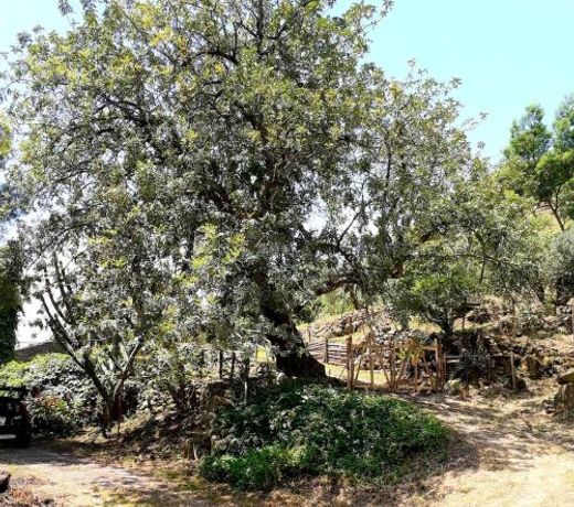 One bedroom property with shared pool at Motta Camastra