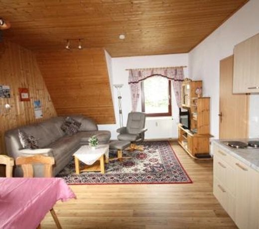 Grosse-Ferienwohnung-Ebert-Green