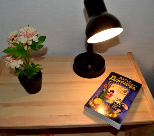 Studia