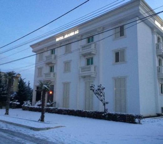 HOTEL ARANDI AG