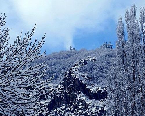 HASI hotel Jermuk - Джермук - фото 2