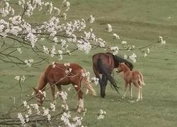 Чкалов гостевой дом фото 2