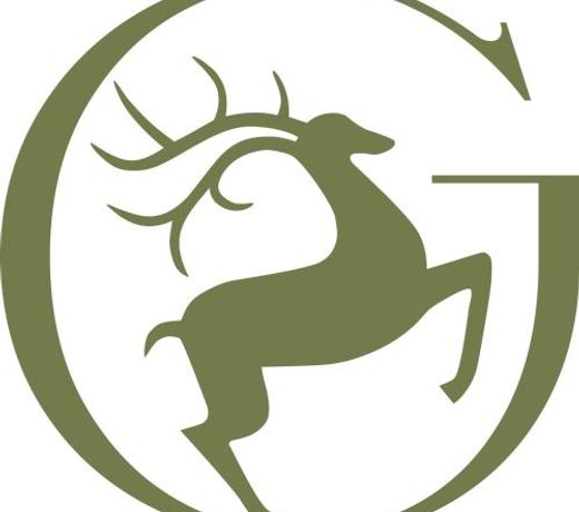 Boutiquehotel Zum Goldenen Hirschen
