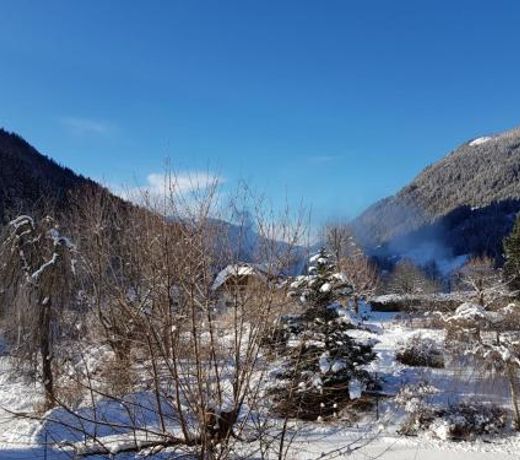 FABIAN - Ski und Thermen Appartement