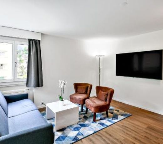 Apartment nearby Titlis Station
