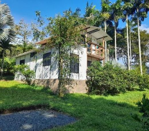CabaÃ±as en el Bosque
