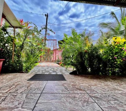 Natural Experience House