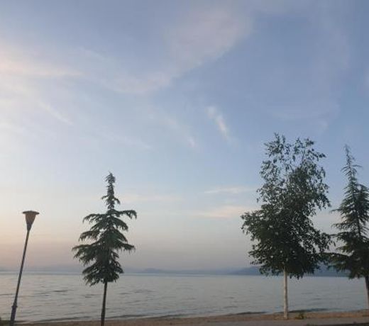 Shtepi Pushimi Tushemisht