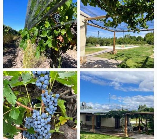 Finca El Vencedor