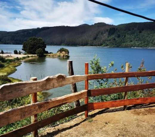 Camping & CabaÃ±a Los Arrayanes Niebla
