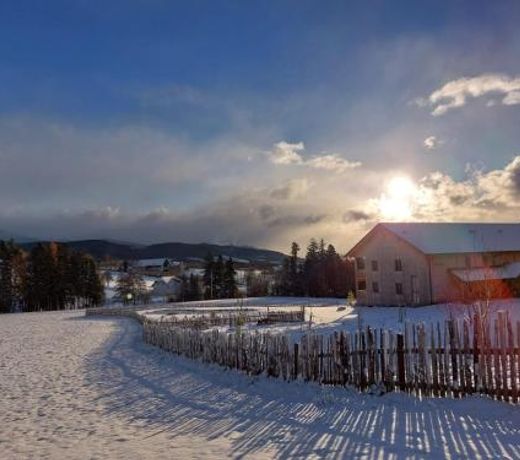 Pircherhof - Adults Only am Bauernhof