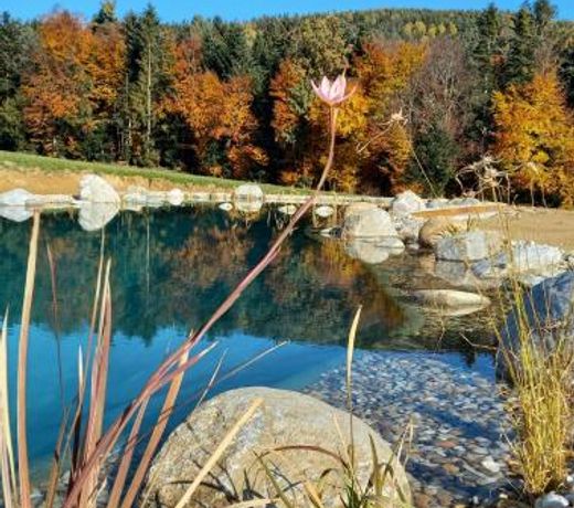 Pircherhof - Adults Only am Bauernhof