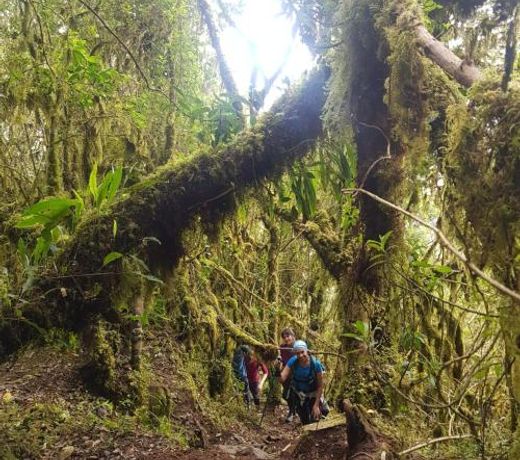 B&B - Trekking y Senderismo