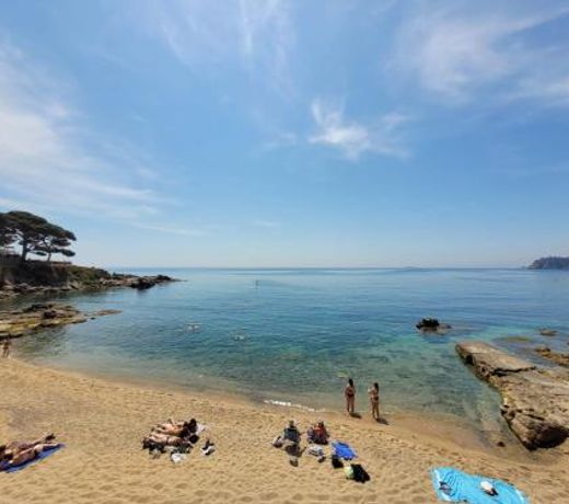 Playa Canadell MAR P primera lÃ­nea de mar con terraza