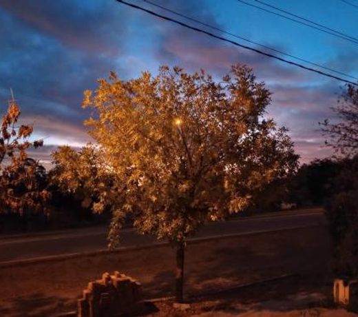 El Atardecer