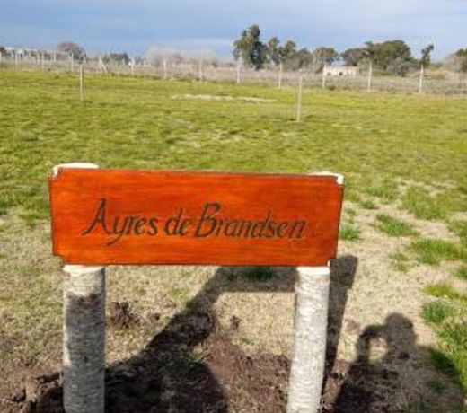 AYRES DE BRANDSEN