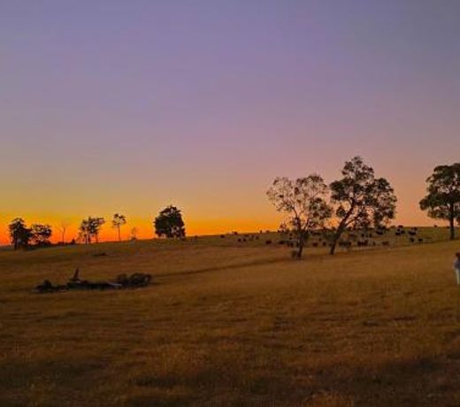 Serenity Gully