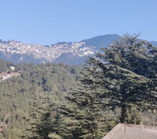 Shimla Hills Apartments 2BHK